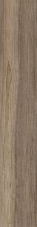 Harper Taupe 10 x 60